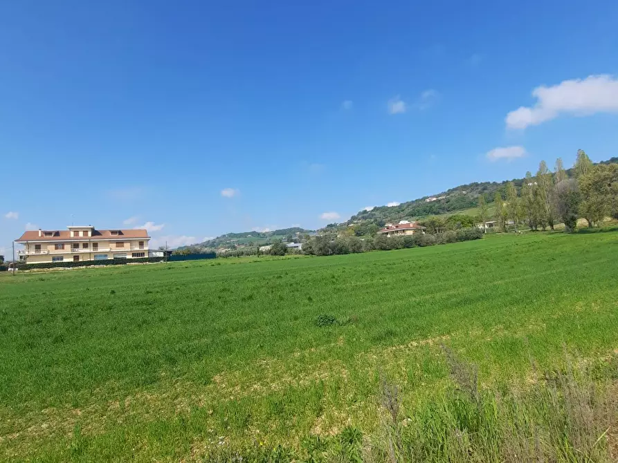 Immagine 8 di Laboratorio in vendita  in c.da Carbuccio snc a Altidona