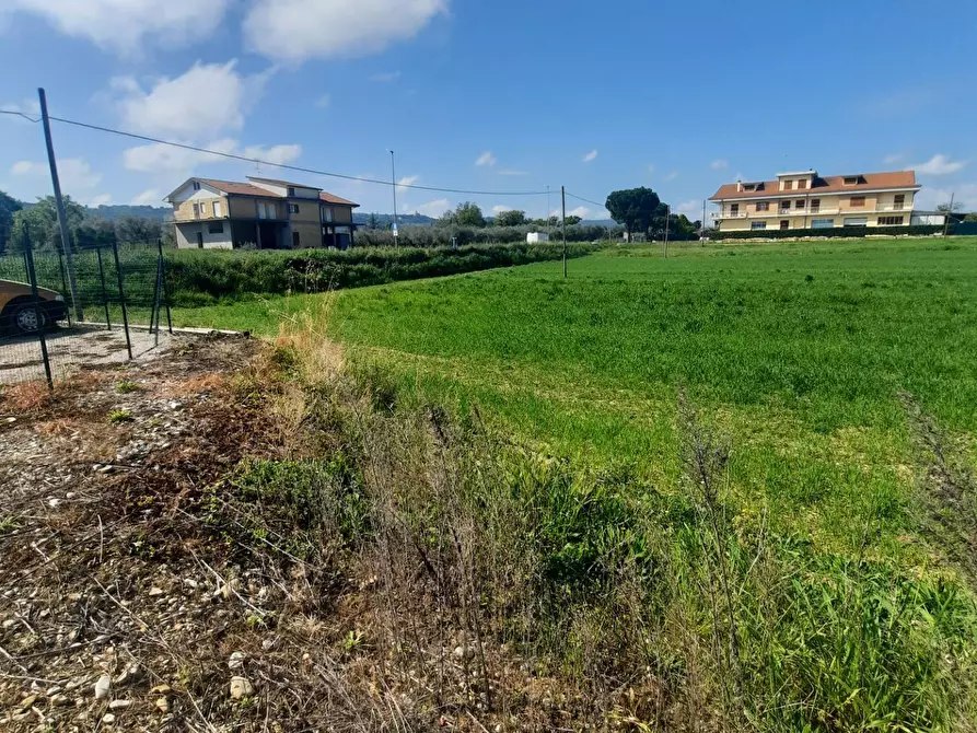 Immagine 9 di Laboratorio in vendita  in c.da Carbuccio snc a Altidona