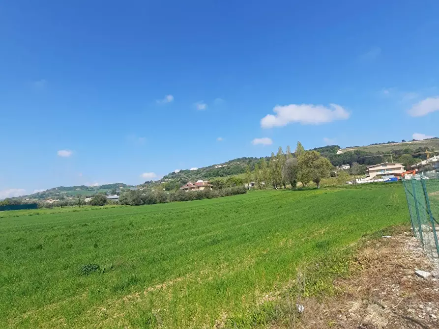 Immagine 10 di Laboratorio in vendita  in c.da Carbuccio snc a Altidona