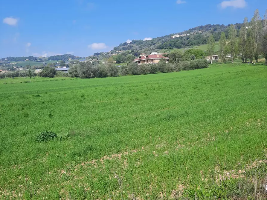 Immagine 12 di Laboratorio in vendita  in c.da Carbuccio snc a Altidona