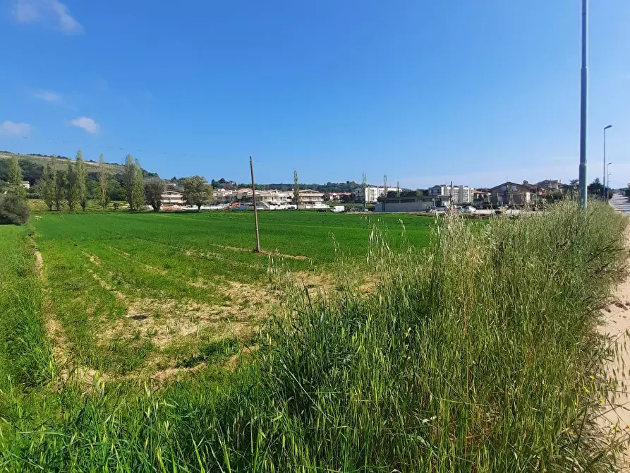 Immagine 13 di Laboratorio in vendita  in c.da Carbuccio snc a Altidona