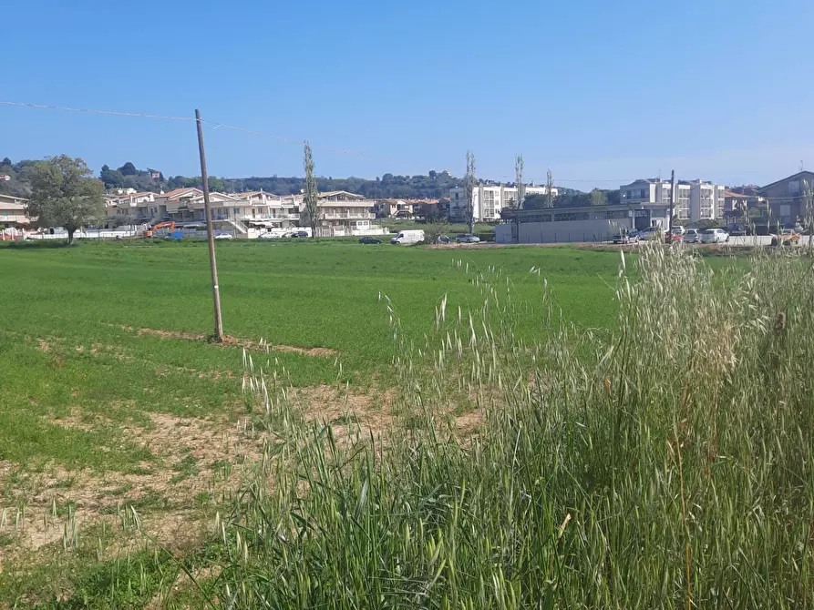 Immagine 14 di Laboratorio in vendita  in c.da Carbuccio snc a Altidona