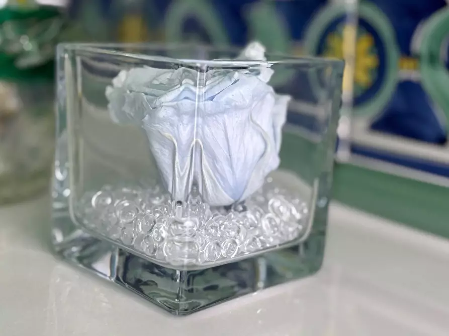 Immagine 50 di Villa in vendita  in Via Abbadia a Monterubbiano