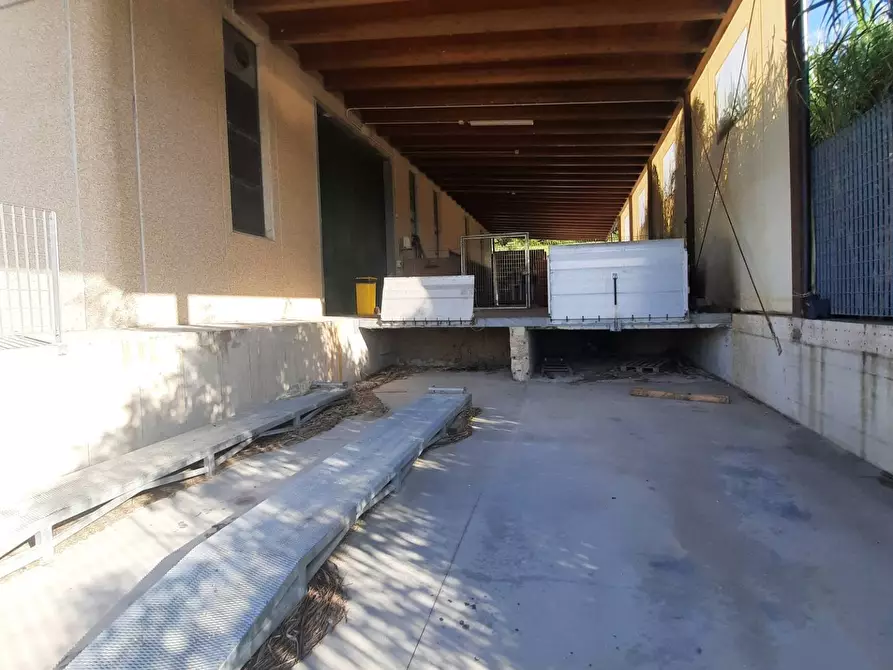 Immagine 14 di Laboratorio   in Via Aso snc a Montefiore Dell'aso