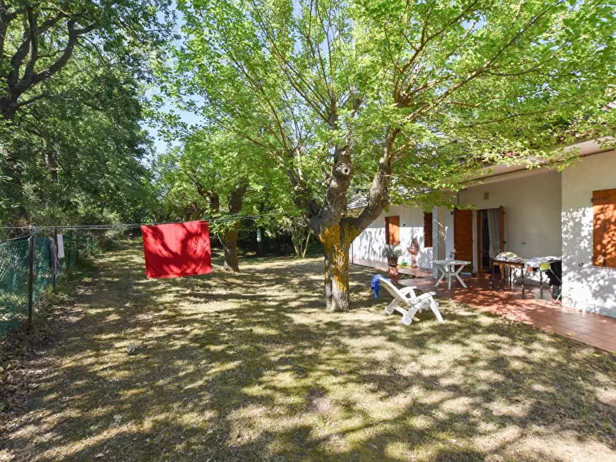 Immagine 6 di Villa in vendita  in Via Rampi a Force