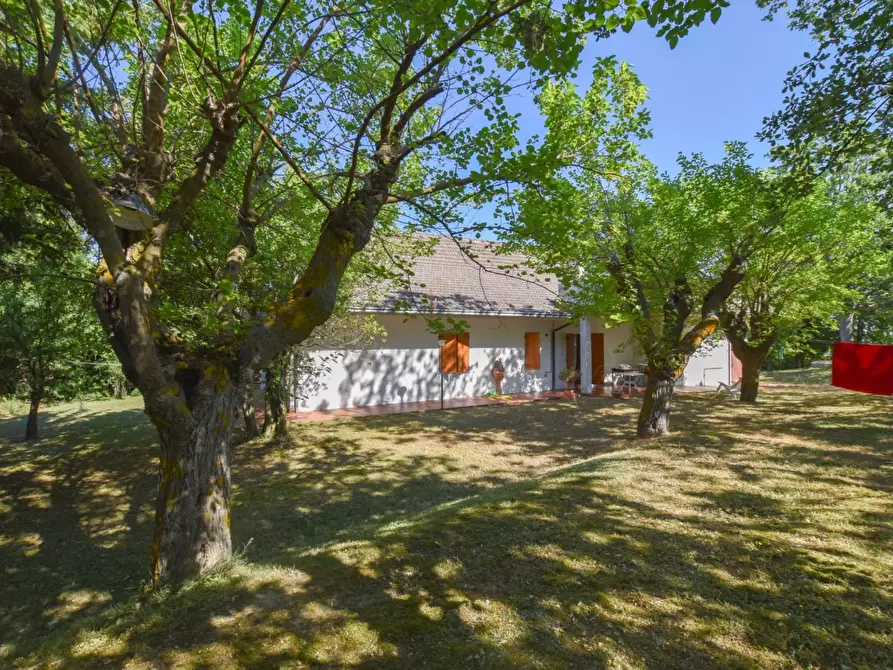 Immagine 7 di Villa in vendita  in Via Rampi a Force