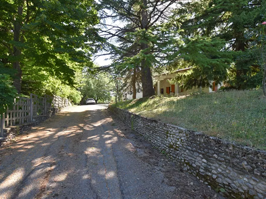 Immagine 12 di Villa in vendita  in Via Rampi a Force