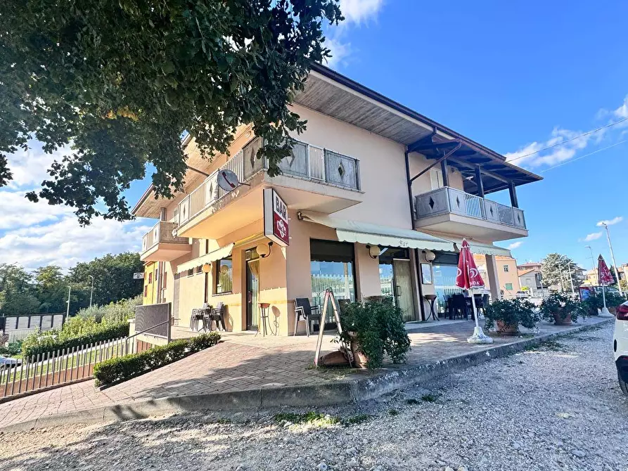 Immagine 8 di Locale commerciale in affitto  in Via Aso 26 a Ortezzano