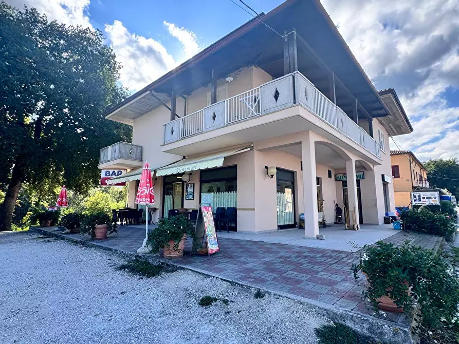 Immagine 10 di Locale commerciale in affitto  in Via Aso 26 a Ortezzano