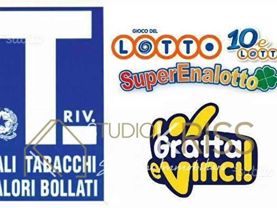 Immagine 1 di Attività commerciale in vendita  in Pontelagoscuro a Ferrara