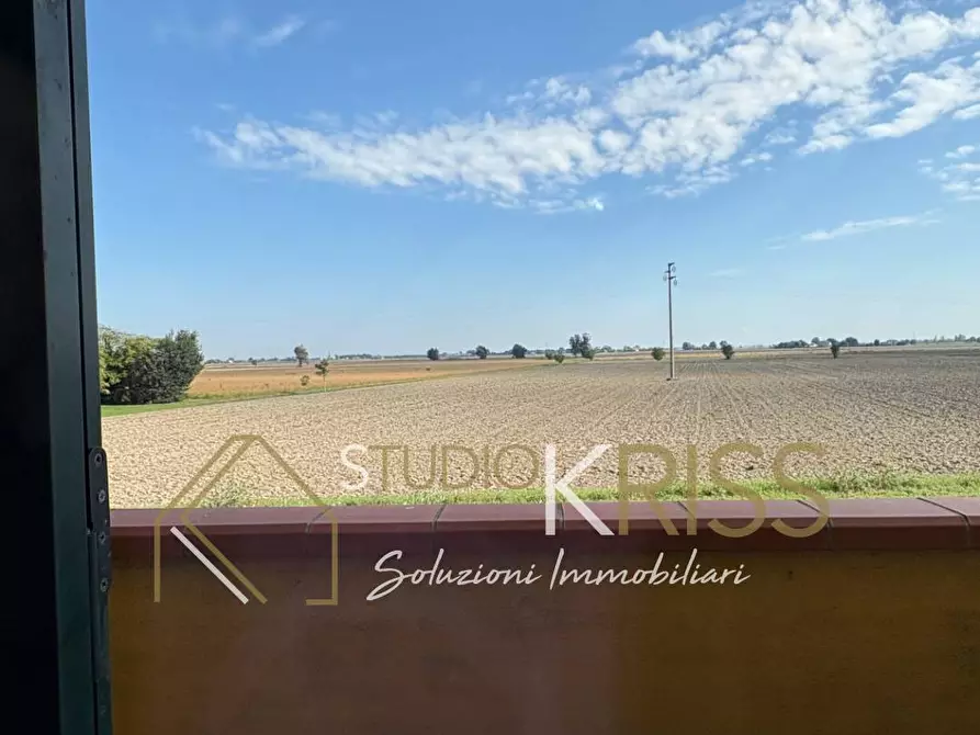 Immagine 17 di Villetta a schiera in vendita  in formignana a Tresignana