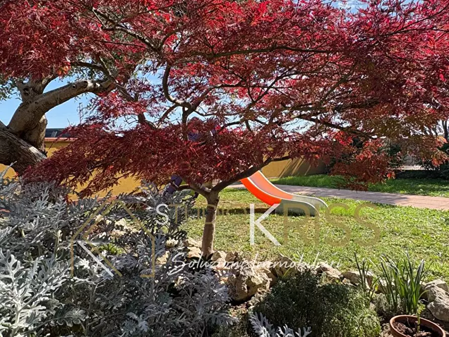 Immagine 22 di Villetta a schiera in vendita  in formignana a Tresignana
