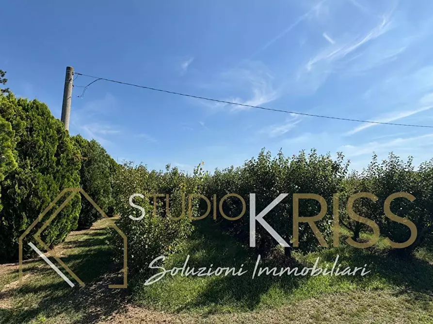 Immagine 41 di Casa indipendente in vendita  in Via Quercia a Ferrara