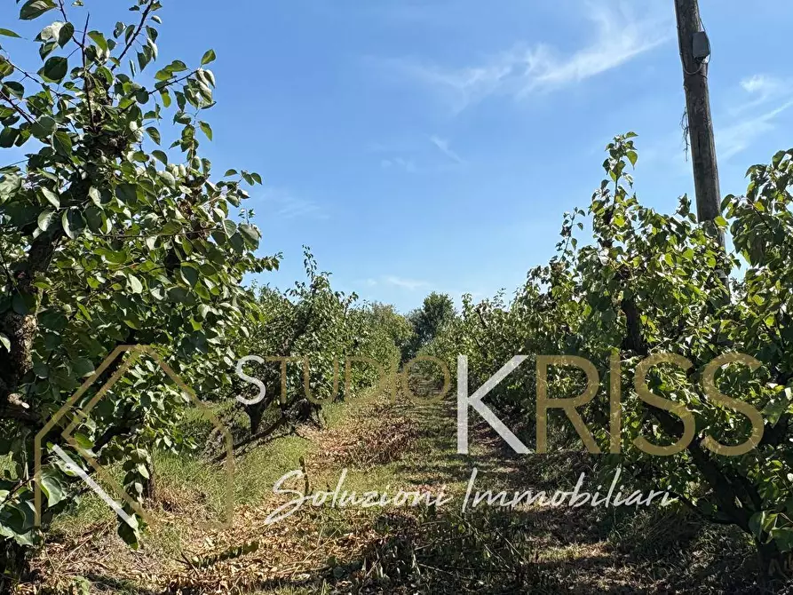 Immagine 44 di Casa indipendente in vendita  in Via Quercia a Ferrara