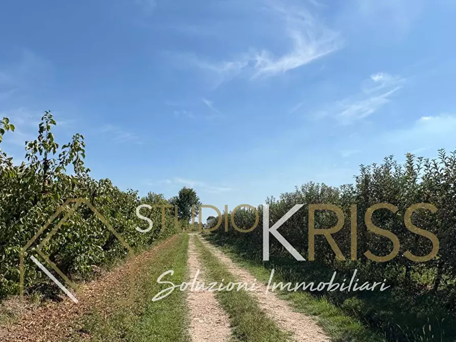 Immagine 45 di Casa indipendente in vendita  in Via Quercia a Ferrara