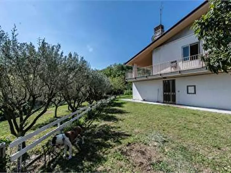 Immagine 4 di Casa indipendente in vendita  in Strada per Chiampore 27/F a Muggia