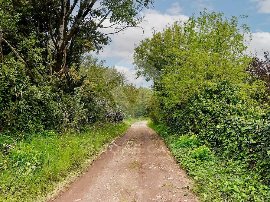 Immagine 17 di Terreno agricolo in vendita  in Via Fornace Cavallino a Opera