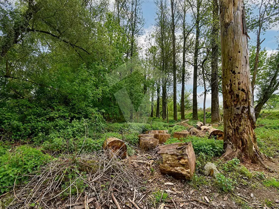Immagine 6 di Terreno agricolo in vendita  in Via Fornace Cavallino a Opera