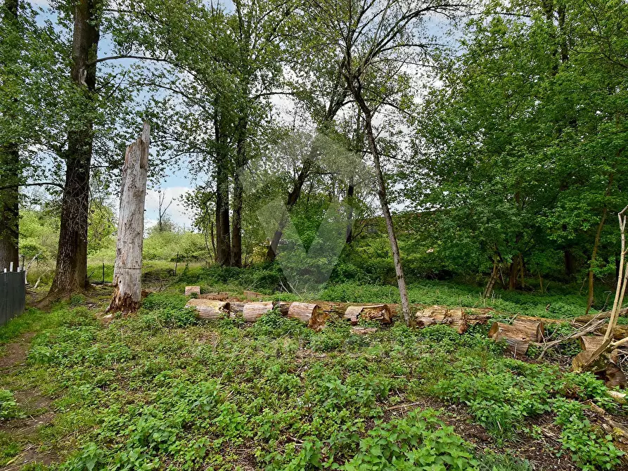 Immagine 3 di Terreno agricolo in vendita  in Via Fornace Cavallino a Opera