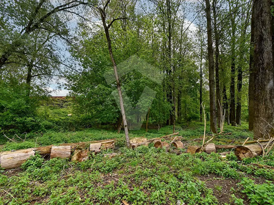 Immagine 4 di Terreno agricolo in vendita  in Via Fornace Cavallino a Opera