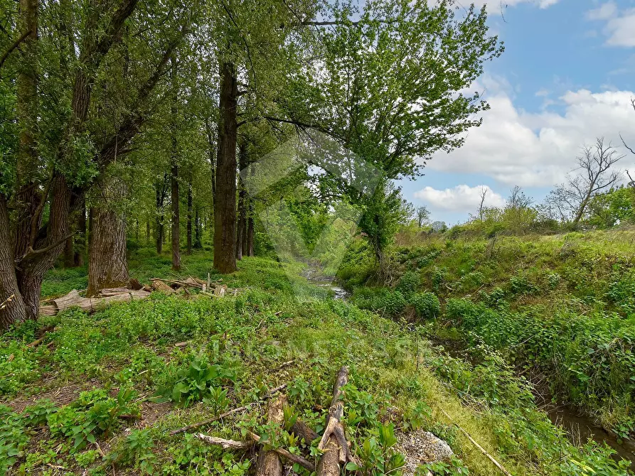 Immagine 2 di Terreno agricolo in vendita  in Via Fornace Cavallino a Opera