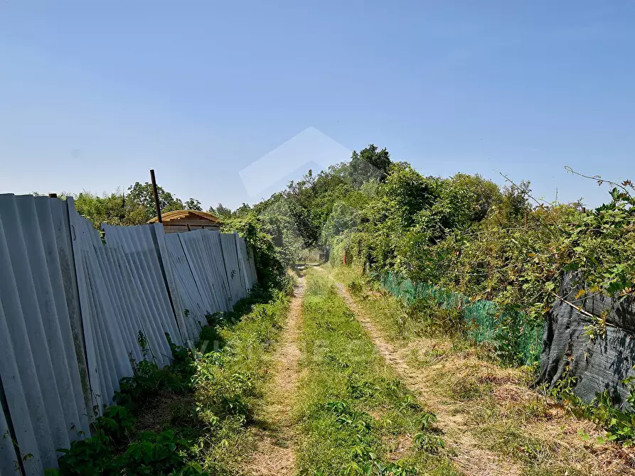 Immagine 9 di Terreno agricolo in vendita  in Via Cascina Pizzabrasa a Pieve Emanuele