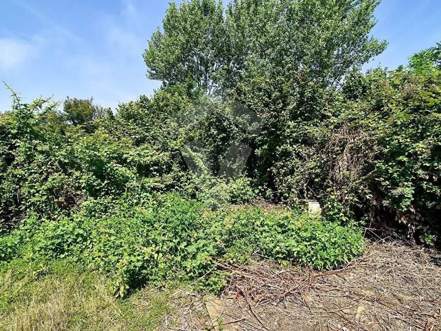 Immagine 12 di Terreno agricolo in vendita  in Via Cascina Pizzabrasa a Pieve Emanuele