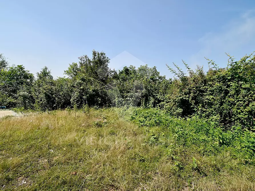 Immagine 13 di Terreno agricolo in vendita  in Via Cascina Pizzabrasa a Pieve Emanuele