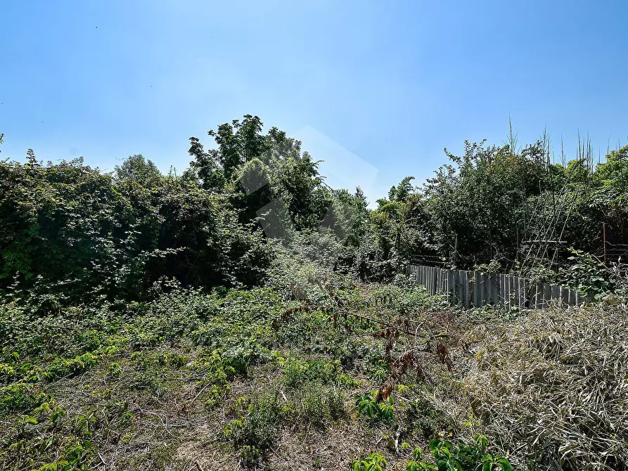 Immagine 18 di Terreno agricolo in vendita  in Via Cascina Pizzabrasa a Pieve Emanuele