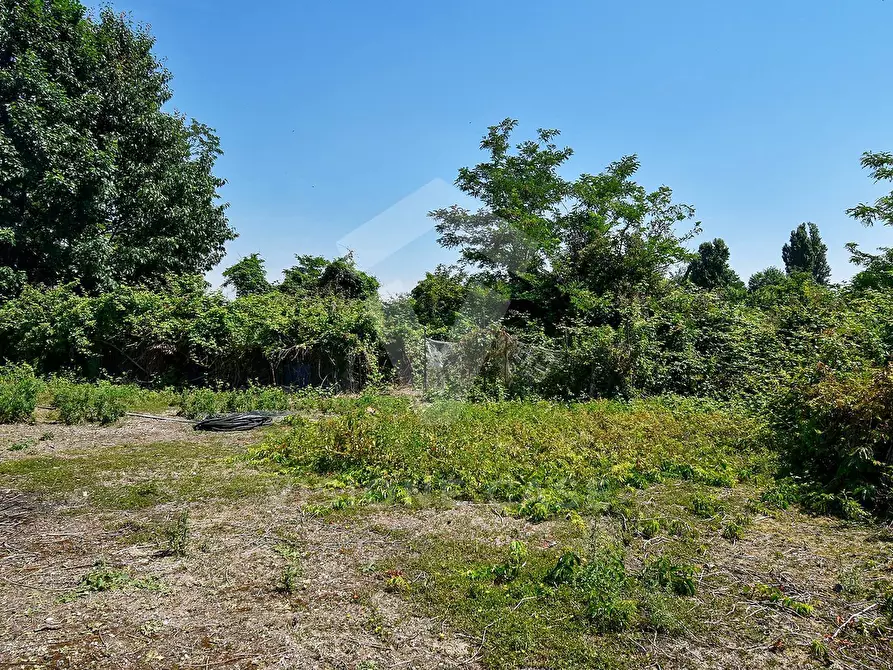 Immagine 19 di Terreno agricolo in vendita  in Via Cascina Pizzabrasa a Pieve Emanuele