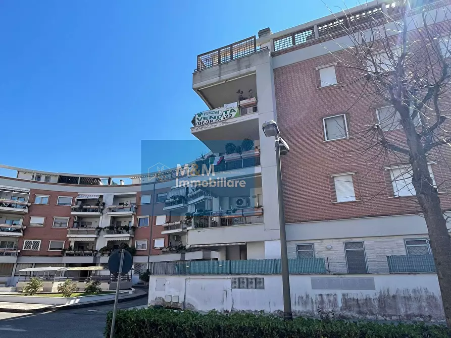 Immagine 12 di Attico in vendita  in Via Livatino 3 a Nettuno