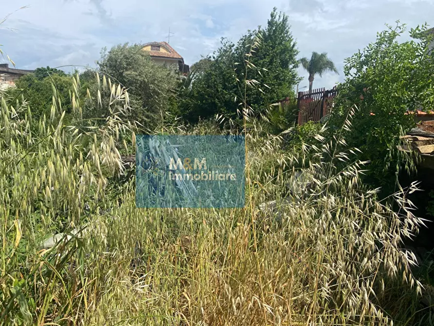 Immagine 3 di Terreno residenziale in vendita  in Via Terminillo 51 a Nettuno