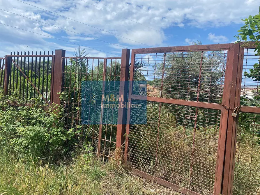 Immagine 5 di Terreno residenziale in vendita  in Via Terminillo 51 a Nettuno