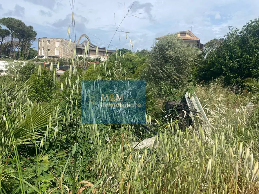 Immagine 6 di Terreno residenziale in vendita  in Via Terminillo 51 a Nettuno