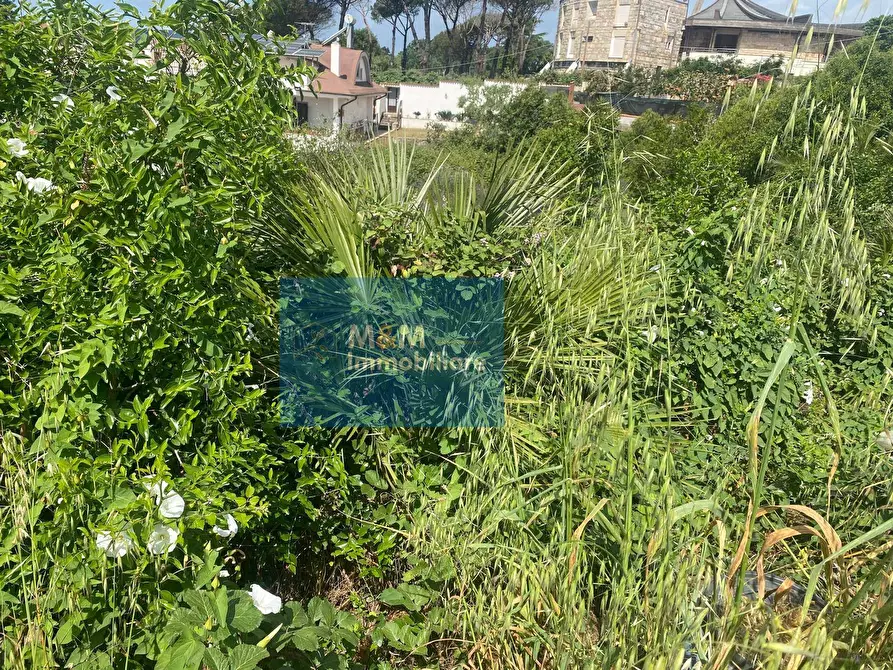Immagine 7 di Terreno residenziale in vendita  in Via Terminillo 51 a Nettuno