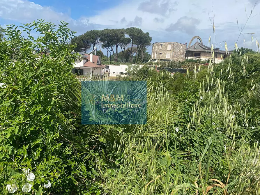 Immagine 8 di Terreno residenziale in vendita  in Via Terminillo 51 a Nettuno