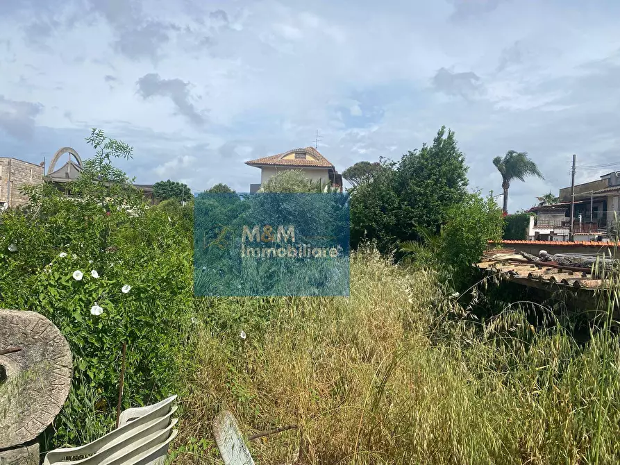 Immagine 9 di Terreno residenziale in vendita  in Via Terminillo 51 a Nettuno