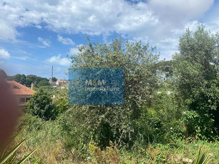 Immagine 11 di Terreno residenziale in vendita  in Via Terminillo 51 a Nettuno