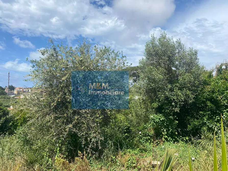 Immagine 12 di Terreno residenziale in vendita  in Via Terminillo 51 a Nettuno