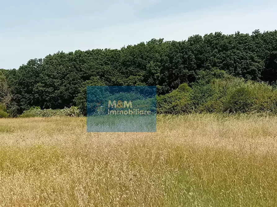 Immagine 3 di Terreno agricolo in vendita  in Via Val di Fassa 5 a Nettuno