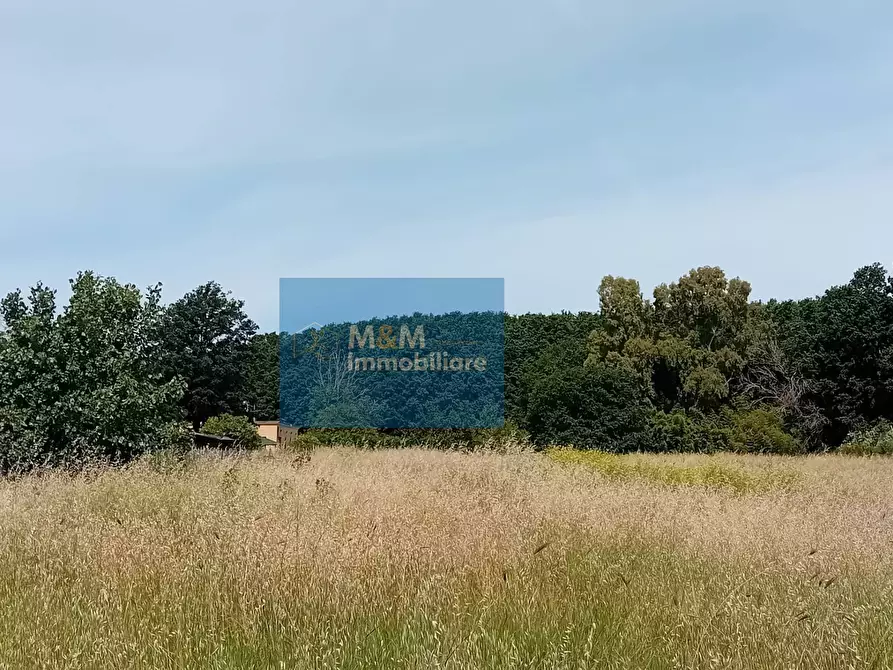 Immagine 8 di Terreno agricolo in vendita  in Via Val di Fassa 5 a Nettuno