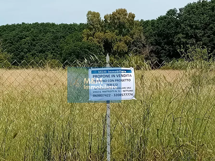 Immagine 2 di Terreno agricolo in vendita  in Via Val di Fassa 5 a Nettuno