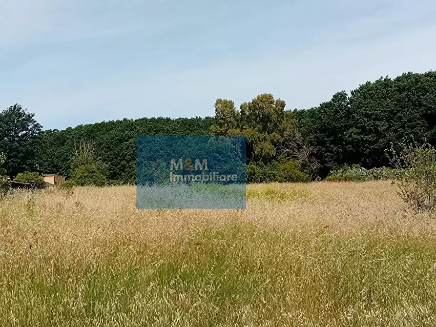 Immagine 9 di Terreno agricolo in vendita  in Via Val di Fassa 5 a Nettuno