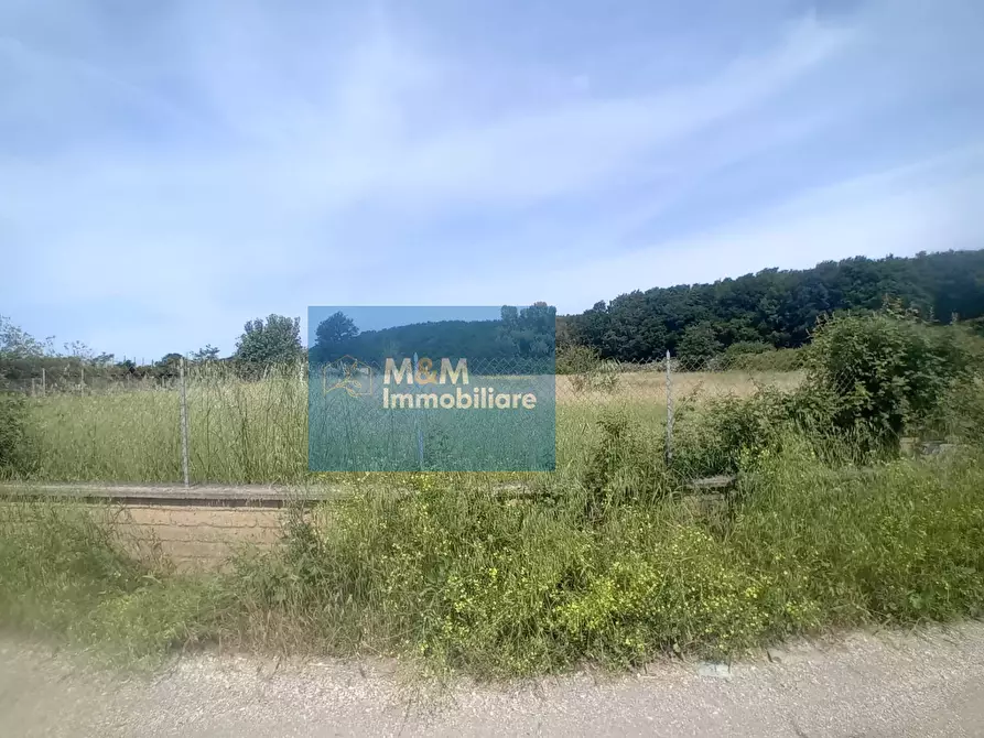 Immagine 10 di Terreno agricolo in vendita  in Via Val di Fassa 5 a Nettuno