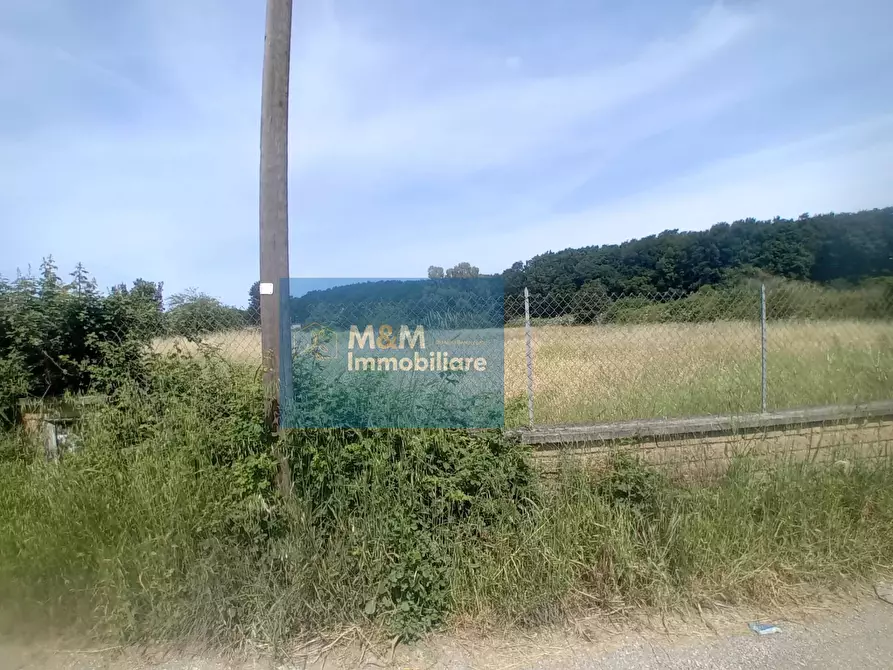 Immagine 13 di Terreno agricolo in vendita  in Via Val di Fassa 5 a Nettuno