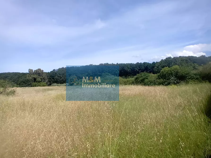 Immagine 15 di Terreno agricolo in vendita  in Via Val di Fassa 5 a Nettuno