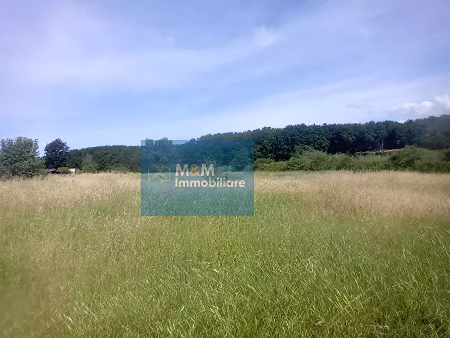 Immagine 16 di Terreno agricolo in vendita  in Via Val di Fassa 5 a Nettuno