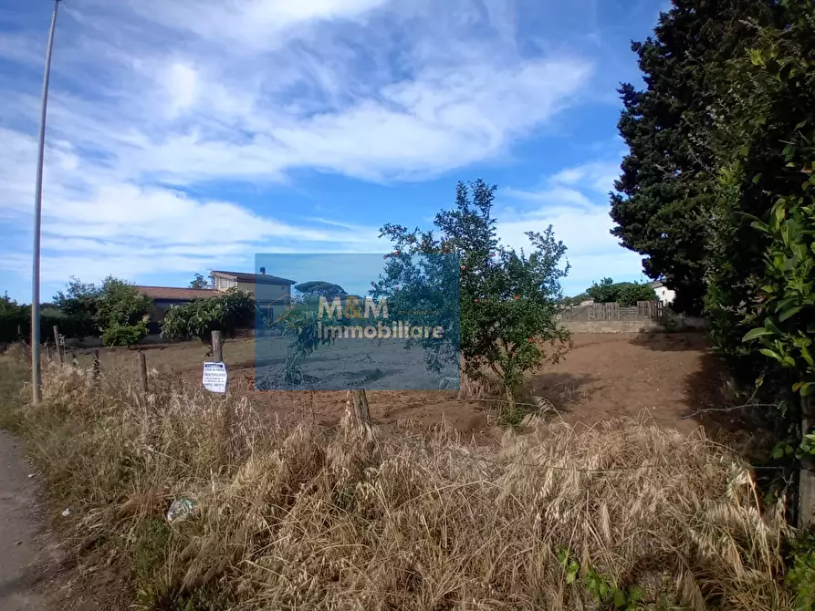 Immagine 3 di Terreno residenziale in vendita  in Via Collecelio a Nettuno