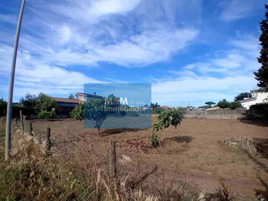Immagine 6 di Terreno residenziale in vendita  in Via Collecelio a Nettuno