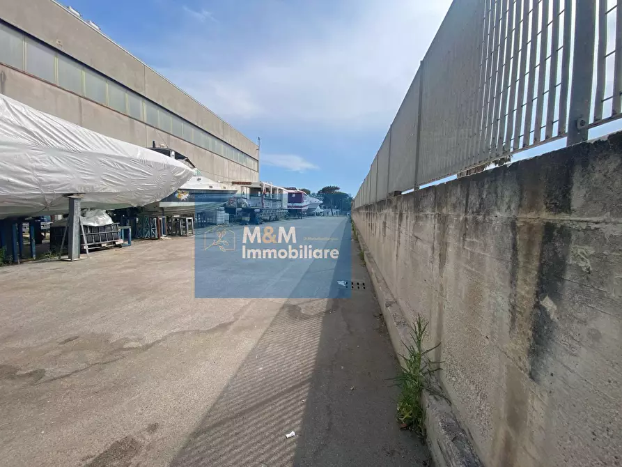Immagine 6 di Capannone industriale in vendita  in VIA AUGUSTO ANDREA 13 a Nettuno